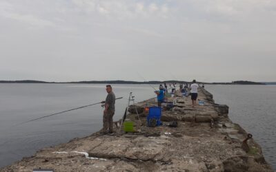 DELFIN DOMAĆIN ŽUPANIJSKOM PRVENSTVU