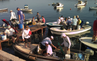 ŽUPANIJSKO NATJECANJE 2018-PULA