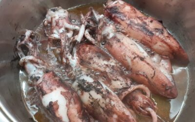 KALAMARI U VINSKOJ PARI