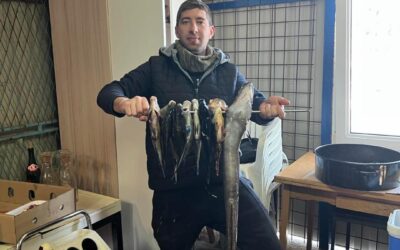 I PODVODNJACI SE SPORTSKI BUDE…