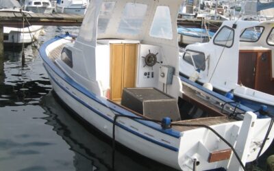 PRODAJEM “MARICU”