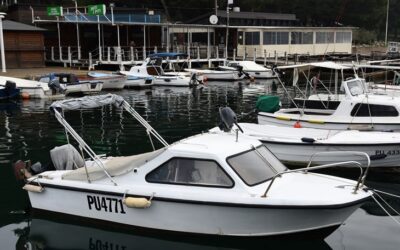 SPORTSKE LUČICE NA ISPITU