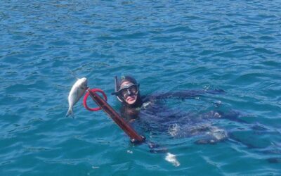 I PODVODNJACI AKTIVNI