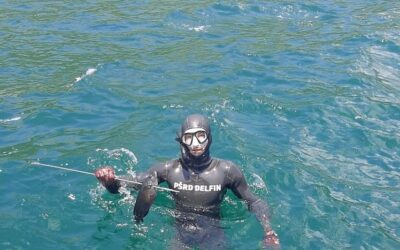 PODVODNI RIBOLOVCI DELFINA NA KLUPSKOM