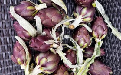 VOLIM TE KAO SRCE OD ARTIČOKE