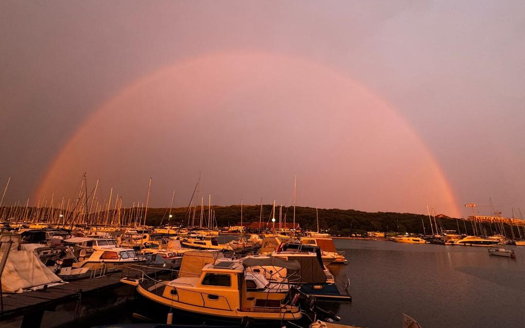 DELFIN PLOVI ISPOD DUGE