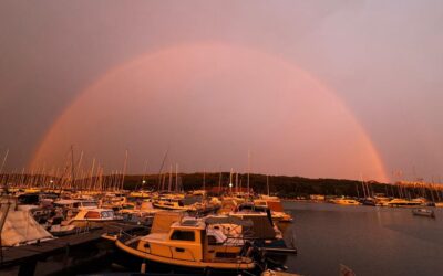 DELFIN PLOVI ISPOD DUGE