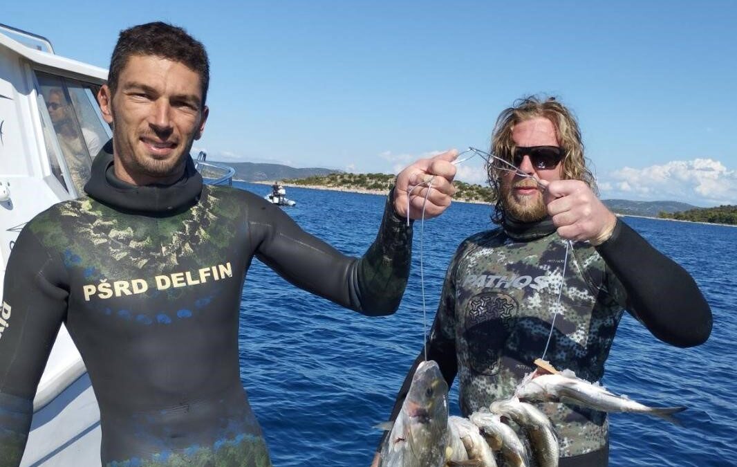 DELFIN NA EKIPNOM DRŽAVNOM