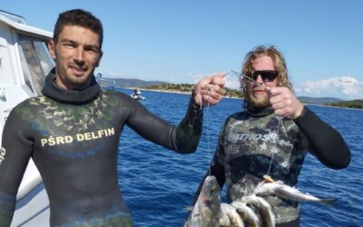 DELFIN NA EKIPNOM DRŽAVNOM