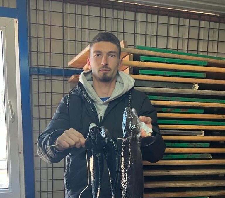 MARKO VUJIČIĆ NA SVJETSKOM PRVENSTVU