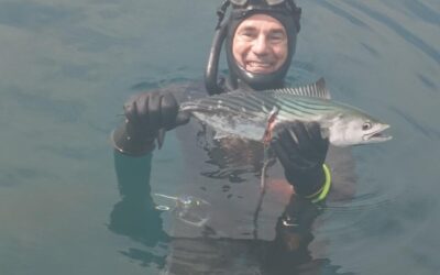 LIJEP USPJEH DELFINOVIH PODVODNIH RIBOLOVACA