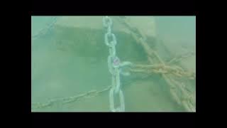 RADOVI U PODMORJU DELFINA